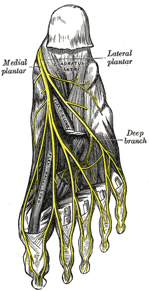 lateral-plantar-nerve-injury-following-steroid-injection-for-plantar